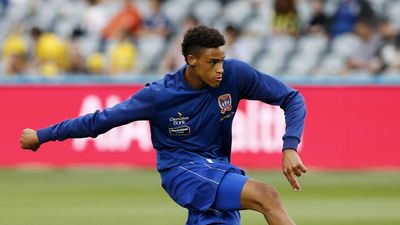 Yengi double seals top spot in ACL Elite for Zelvia