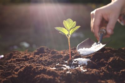 The Fertilizer Combo Experts Say You Should Never Mix