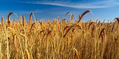 Intense heatwaves directly threaten crops and native species. Here’s what we can do