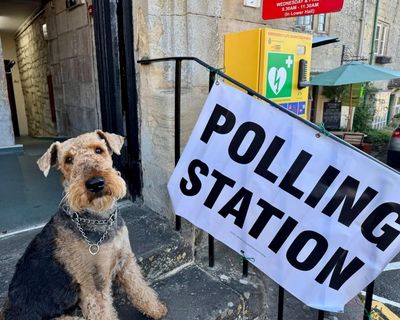 What made ministers think they could delay local elections in England?