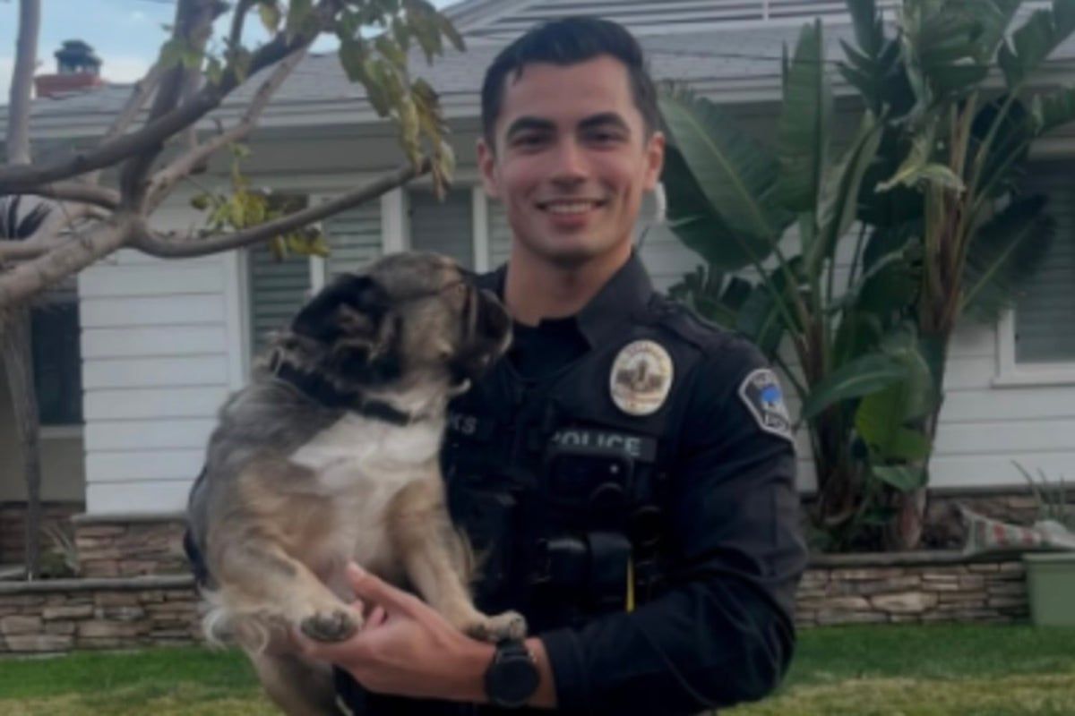Social media users swoon as photo of California cop on…