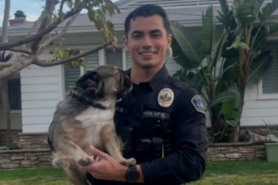 Social media users swoon as photo of California cop on duty with pups goes viral: ‘I identify as a dog’