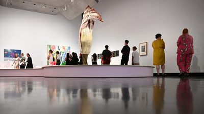 With ants, blooms and birds, museum rethinks uni smarts