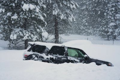 9 skiers missing after avalanche near Lake Tahoe