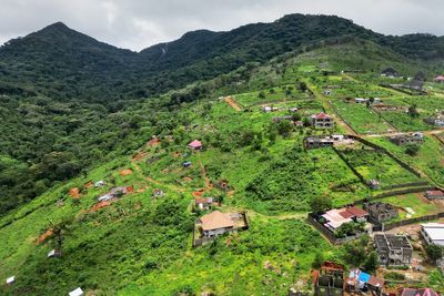 Sierra Leone officials facilitated illegal mansion-building in a key national park
