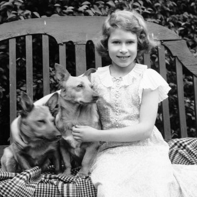 Queen Elizabeth Showed Off a Talent She Shares with Prince George, Princess Kate and King Charles in Adorable Childhood Letter