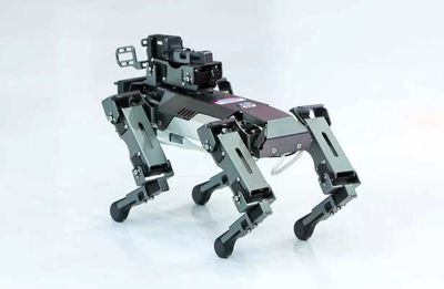 Was This Innovation Real? The Robot Dog Video That Changed Everything