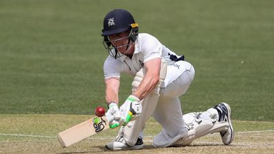 Wicketkeeper Harper torches WA with another fast ton