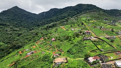 ‘Environmental time bomb’: Illegal luxury mansions replace rainforests in this UNESCO national park
