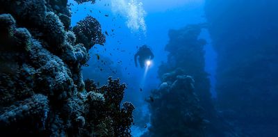 Deep sea landscapes are a new frontier of human exploration – here’s what we may find