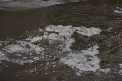 Trump and Maryland governor feud over Potomac River sewage spill disaster