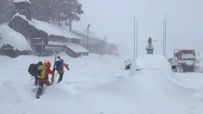 Lake Tahoe avalanche: 8 skiers dead, one missing after massive slide near Castle Peak