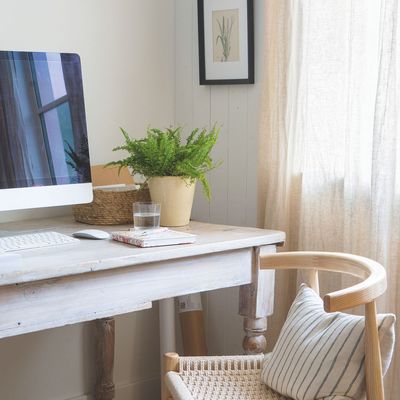 4 things people with a tidy home office always have – work from home essentials to boost productivity and banish clutter
