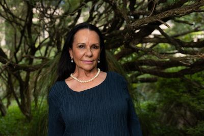 ‘Opening up worlds’: Linda Burney joins UTS board with a mission to boost Aboriginal participation