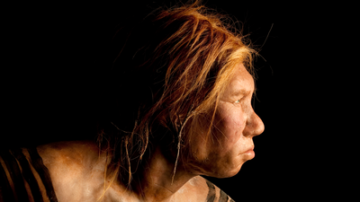 Research group claims preeclampsia doomed the Neanderthals, but experts say it's just a 'thought experiment'