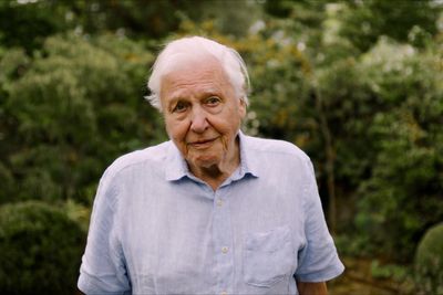 How BBC plans to celebrate Sir David Attenborough’s monumental 100th birthday