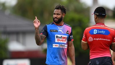 Hammer to stay No.1 as Trai tables options for Dolphins