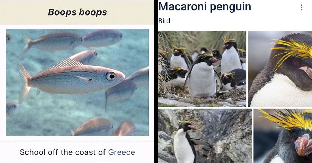 46 Times Animal Names Were So Ridiculous, People…