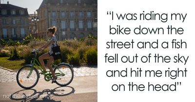 64 Real Life Stories That Sound Completely Made Up