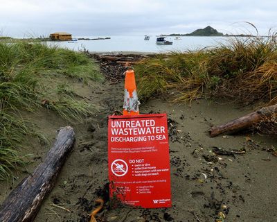 ‘It’s a catastrophe’: Wellington rages as millions of litres of raw sewage pour into ocean