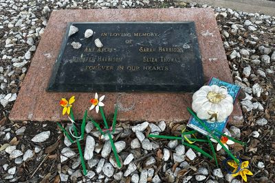 Men once wrongfully accused of Austin yogurt shop murders seek formal exoneration