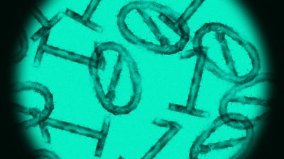 The narrow slice of data that worries biosecurity experts