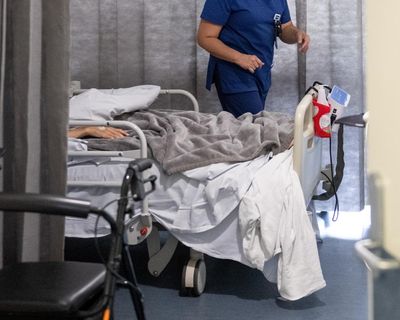 ‘The system is broken’: deaths involving escaped patients expose NSW’s mental health crisis, hospital workers say