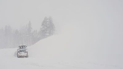 Eight skiers found dead in California avalanche