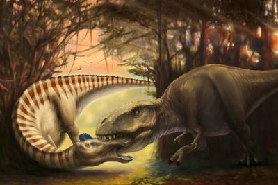 Fossil tooth lodged in skull helps reconstruct final moments of giant dinosaur that became prey