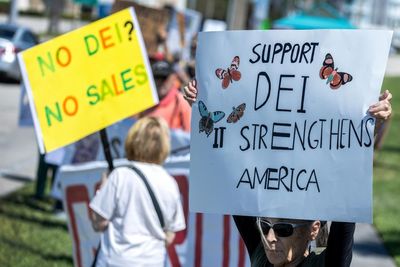 ‘DEI is dead, equality isn’t’: experts chart path forward amid Trump’s culture war