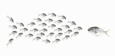 ‘Learning to be humble meant taming my need to stand out from the group’ – a humility scholar explains how he became more grounded