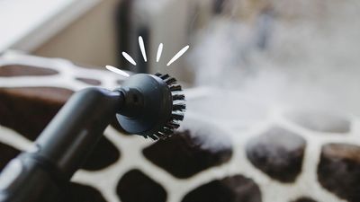 7 things you should never use a steam cleaner on, according to experts