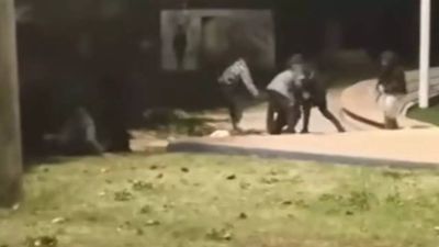 Indians attacked in Israel: ‘Racially motivated’ assault on 2 Indian workers in Ashkelon plotted on WhatsApp