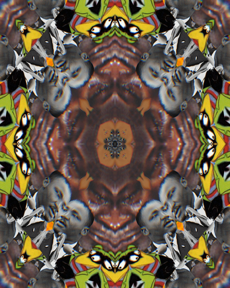 Digital blackface flourishes under Trump and AI: ‘The state is bending reality’