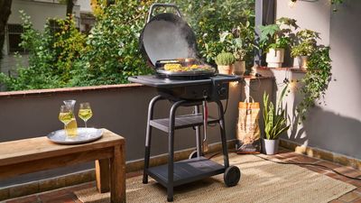 Char-Broil’s new barbecue offers charcoal and electric grilling in one – but it’s the price you’ll love
