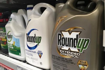 Trump order seeks to protect weedkiller at center of barrage of lawsuits