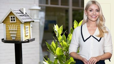 Holly Willoughby is 'obsessed' with her smart bird table – unlocking a passion for bird watching