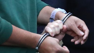 Psychedelics seized in massive drug bust