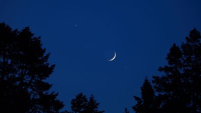 See a razor-thin crescent moon shine with Saturn after sunset on Feb. 19
