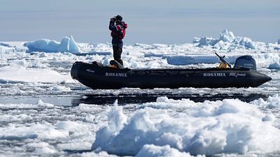 ‘Irreversible on any human timescale’: Scientist reveals best and worst-case scenario for Antarctica