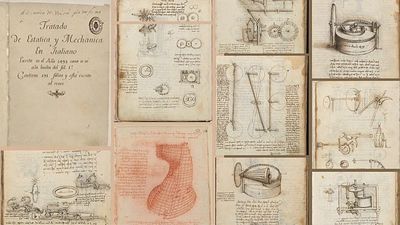 The Madrid Codices: Leonardo da Vinci's treasure trove digitised by Spain's National Library