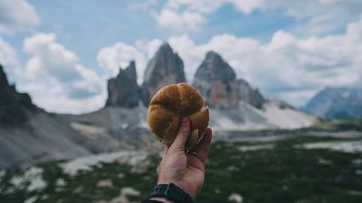 Blackcurrants, olive oil, cheese: Why you should follow these foodie trails around Europe