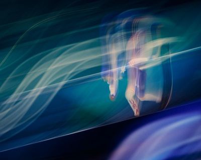 Winter Olympics briefing: the need for speed and a glut of skating records