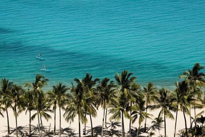 Pickleball in the Whitsundays? How Australia’s Hamilton Island is shaking off its fly-and-flop reputation