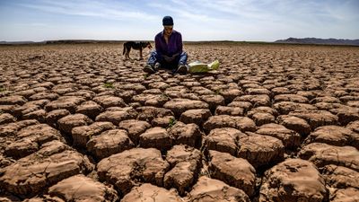 'A vicious cycle that exhausts bodies and minds': the human cost of climate change