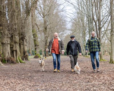 ‘It’s now or never’: Tunbridge Wells residents race to save commons from developers