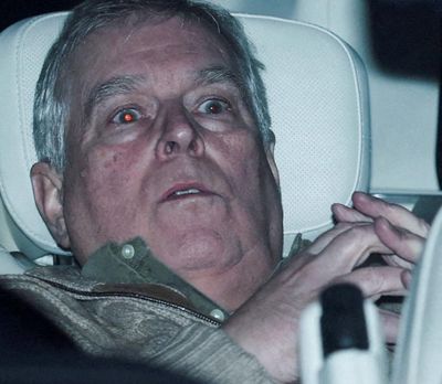 ‘Andrew’s aghast eyes echo The Scream’: is this photo the ultimate royal portrait?