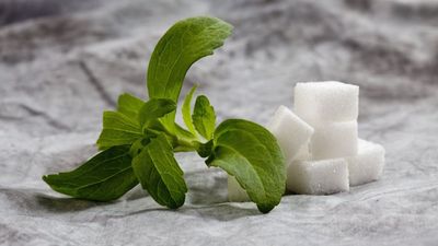 Did You Know You Can Grow Your Own Natural, Sugar-Free Sweetener? Here’s How to Grow Stevia at Home