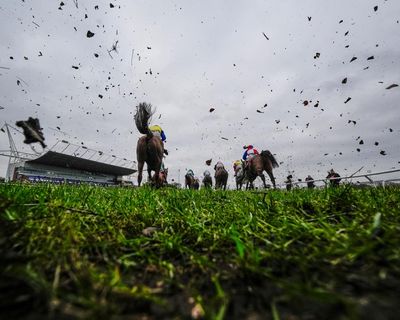 Kdeux Saint Fray can put a dent in Emmet Mullins’ stellar Kempton record