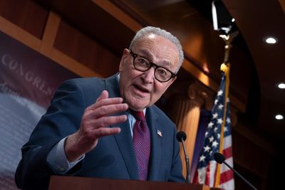 Democrats revel in supreme court decision curbing Trump’s tariff spree
